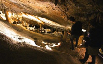 La Grotte de La Fileuse de Verre recrute