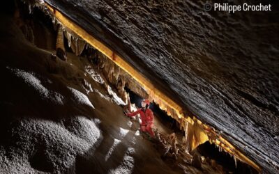 LA FILEUSE DE VERRE VOUS SOUHAITE UNE BONNE ANNÉE !
