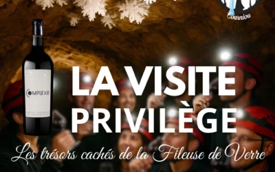 LA VISITE PRIVILÈGE