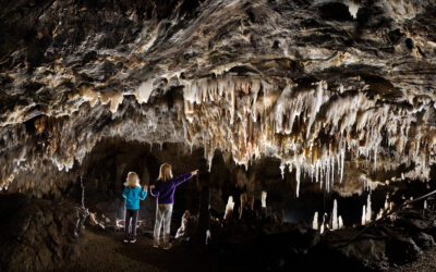 OUVERTURE DE LA GROTTE !